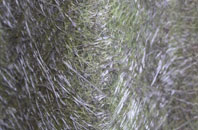 Knutton fibreglass roof work